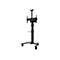 Neomounts - Montagekomponente (Regal, Kamerabord, Adapter für Kamerabord, Schiene) - für Kamera / Mediabox - Schwarz - am Wagen montierbar - für P/N: FL50S-825BL1