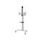 Neomounts - Montagekomponente (Regal, Kamerabord, Adapter für Kamerabord, Schiene) - für Kamera / Mediabox - Schwarz - am Wagen montierbar - für P/N: FL50S-825BL1