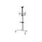 Neomounts - Montagekomponente (Regal, Kamerabord, Adapter für Kamerabord, Schiene) - für Kamera / Mediabox - Schwarz - am Wagen montierbar - für P/N: FL50S-825BL1