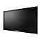 Neovo QX-43 - LED-Monitor - 109.2 cm (43') (42.5' sichtbar) - feststehend - 3840 x 2160 4K UHD (2160p) - MVA