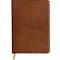 Notizbuch Clairefontaine Flying Spirit, DIN A5, 90 Blatt, liniert, mit Fadenbindung, glänzender Ledereinband, cognac