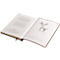 Notizbuch Clairefontaine Flying Spirit, DIN A5, 90 Blatt, liniert, mit Fadenbindung, glänzender Ledereinband, cognac