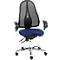 Office chair with black mesh back and blue seat. Chrome frame with castors, armrests.