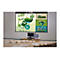 Optoma ZH420 - DLP-Projektor - Laser - 3D - 4300 lm - Full HD (1920 x 1080)
