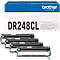 Original Brother Trommelmodul DR248CL, 4-teilig, ohne Toner, bis zu 30000 Seiten, CMYK