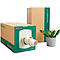 Two cardboard boxes, one with an outlet for padding material, next to it a pot with a green plant. Inscription: POLSTERBOSS.