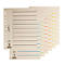PAGNA Easy Rip Trennblätter, DIN A4-Format, Linienaufdruck, 10 Stück, farblich sortiert