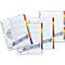 PAGNA Kartonregister mit Deckblatt in Überbreite, zur freien Verwendung, 10 Blätter, 5-farbig