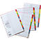 PAGNA Kartonregister mit Deckblatt, zur freien Verwendung, 10 Blätter, 5-farbig