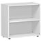 PALENQUE boekenkast, 2 OH, B 800 x D 400 x H 752 mm, lichtgrijs