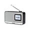 Panasonic-RF-D15EG - Tragbares DAB-Radio - 3 Watt - Schwarz