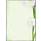 Papier à motif fleur verte Sigel, A4, 90 g/m², Motif fleuri, 25 feuilles