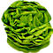 Papier de soie Clairefontaine, 500 x 750 mm, résistant à l'eau, plié, 24 feuilles, vert pomme