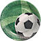 Teller mit Fussball-Design, grünem Gras Hintergrund und einem Fussball.