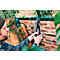 Pince à riveter Rapid RP60 Multi™, tête 360°, pour rivets de 3,2/4,0/4,8 mm, outil de mesure inclus, 3 forets, 150 rivets