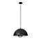 Hanglamp, halfronde lampenkap, zwart, met draadgaas inzetstuk. Helder, geïsoleerd object.