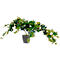 Plante artificielle Lierre - PEVA - H 800 mm