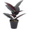 Plante artificielle meet® by Paperflow Arbre en caoutchouc, pot en plastique inclus, H 360 mm, PEVA