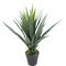Plante artificielle meet® by Paperflow Palmier yucca, pot en plastique inclus, H 600 mm, PE
