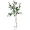 Plante artificielle Olivier - polyester et PE - H 1550 mm 
