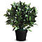 Plantes de bureau PAPERFLOW, en PE, vert, avec pot en plastique, laurier, 500 mm