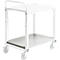 Plateau pour chariot de transport ESD SAP TRESTON 500 x 700 mm