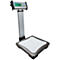 Digital scale with display showing 0.00, silver frame, white weighing surface.