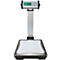 Scale with digital display and platform. The display shows 0.00.