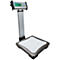 Digital personal scale with display showing 0.00. Gray, silver and blue color combination.