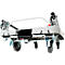 Platformwagen RuXXac Dandy, tot 180 kg, 2 zwenk- en 2 bokwielen, incl. Spannfix rubber, met rem, polypropyleen
