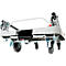 Platformwagen RuXXac Dandy XL, tot 330 kg, 2 zwenk- en 2 bokwielen, incl. Spannfix rubber, met rem, polypropyleen