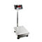 Platformweegschaal Kern EFC 100K 3, max. weegvermogen 150 kg, RS-232 interface, controlewegen, tellen, controlewegen, B 500 x D 400 mm, roestvrij staal, zilver