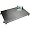 Platformweegschaal serie CPWplus 150L, 900 x 600 mm