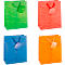 Pochette cadeau Laura, moyen, 18 x 10 x 23 cm, indéchirable, lot de 12, couleurs assorties