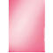 Pochette coin Premium 4100 LEITZ®, format A4, lisse, 100 p., rouge