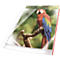 Pochettes de présentation, DIN A4, transparentes, indélébiles, perforation universelle renforcée, avec bord rouge, 10 pièces