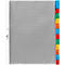 Pochettes-intercalaires PP extra larges DURABLE, 12 feuilles, onglets colorés