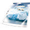 Pochettes perforées Premium DURABLE, format A4, ouverture sur le dessus, 100 p., nervuré, transparent