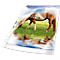 Pochettes perforées Premium DURABLE, format A4, ouverture sur le dessus, 50 p., lisse, transparent