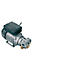 Pompe électrique CEMO Viscomat 200/2, 230V, 800 W, 9 l/min, raccordement des deux côtés 1' IT