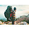 A hiker with a backpack stands on a mountain peak, looking into the distance.