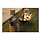 PURE EVOKE Play - Internetradio - 40 Watt - Black Coffee