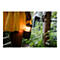 Pure Woodland Glow - Lautsprecher - tragbar - kabellos - Bluetooth - 20 Watt