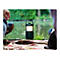 Pure Woodland Glow - Lautsprecher - tragbar - kabellos - Bluetooth - 20 Watt