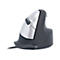 R-Go HE Mouse Ergonomische Maus, Mittel (165-195mm), rechtshändig, drahtgebundenen - Maus - USB - Schwarz/Silber