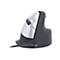 R-Go HE Mouse Souris ergonomique, Grand (au-dessus 185mm), droitier, filaire - souris - USB