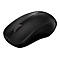 Rapoo 1620 - Maus - optisch - kabellos - 2.4 GHz - kabelloser Empfänger (USB)