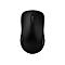 Rapoo 1620 - Maus - optisch - kabellos - 2.4 GHz - kabelloser Empfänger (USB)