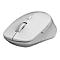 Rapoo M300 Silent - Maus - optisch - 7 Tasten - kabellos - 2.4 GHz, Bluetooth 4.0, Bluetooth 3.0