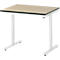 Rau Adlatus werktafel, elektrisch in hoogte verstelbaar, 22 mm MDF-plaat, tot 150 kg, B 1000 x D 800 x H 720-1120 mm, bruin/lichtgrijs